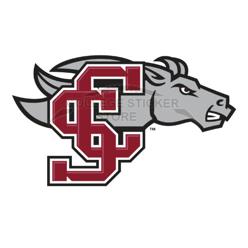 Homemade Santa Clara Broncos Iron-on Transfers (Wall Stickers)NO.6136